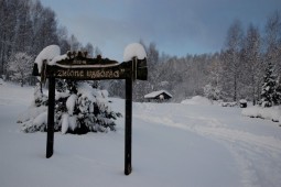 Zima na Zielonych Wzgórzach