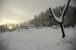 Zima na Zielonych Wzgórzach